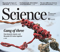 Science cover